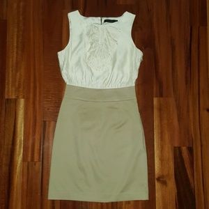 The Limited Exact Stretch Tan Sleeveless Dress